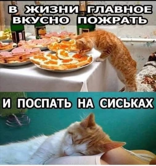 У меня муж дома