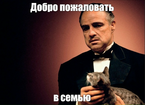 Братва из Малиновка village, срочно вылетает в Чикаго