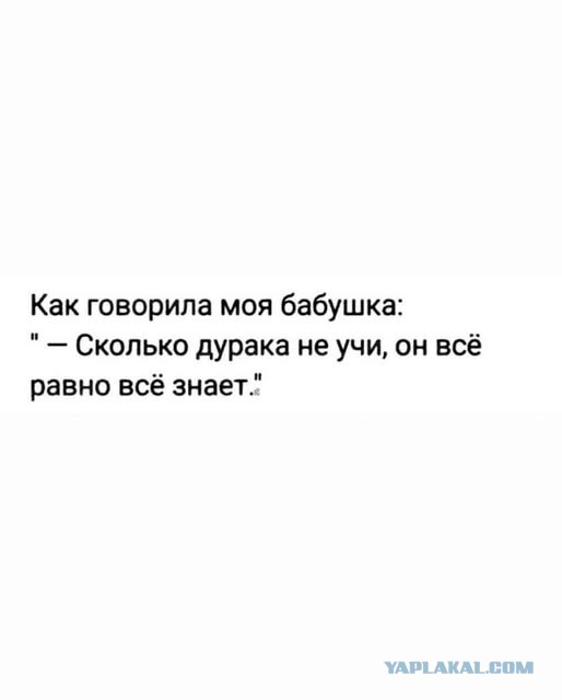Веселые картинки в маленькую пятницу (12.11)