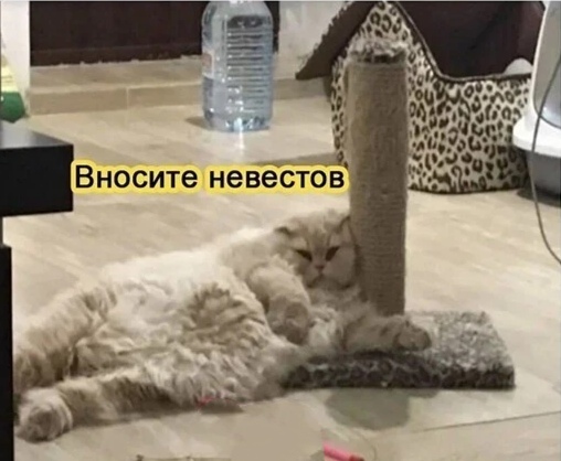 Праздники почти закончились