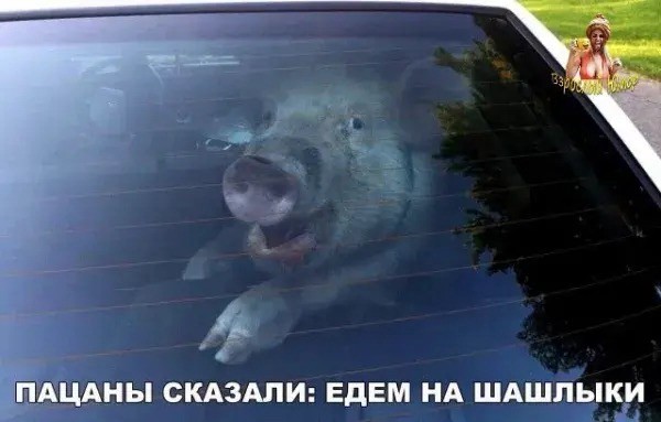 Четверговые картинки