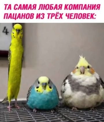 Картинки для деградации 207 (разной степени свежести)