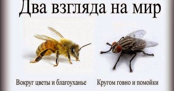Конец абхазского рая: абхазцы взбунтовались против "туристического наплыва" из России
