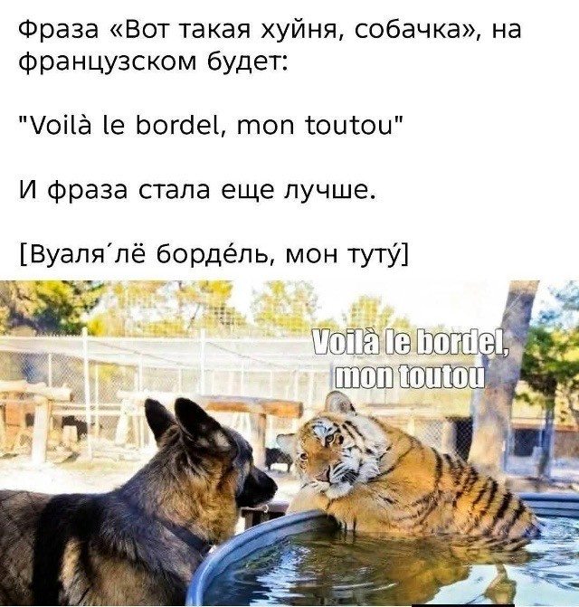 Так себе картинки 27.09.26