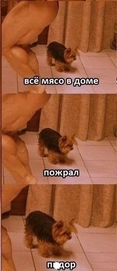 «Гибдаёб?»