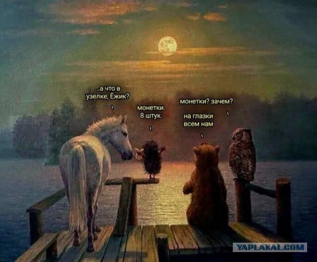 Скиньте и мне тоже рандомной херни