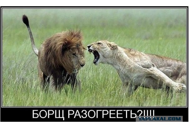 Фу, буээ!