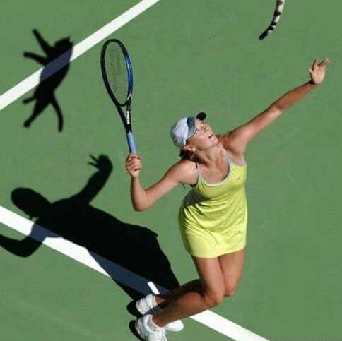 Если у вас нет собаки...