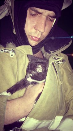 Коты, спасенные пожарными