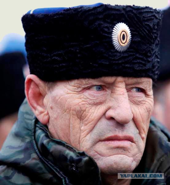 Видимо русский, уж очень на медведя похож.