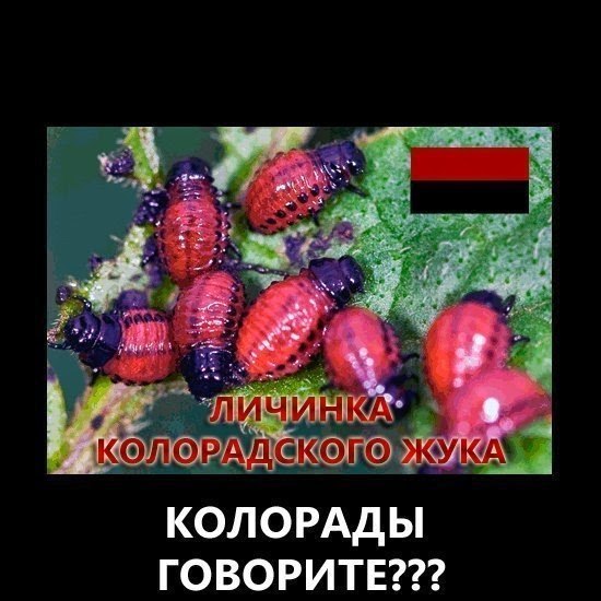 Европа наносит Украине удар под "дых"