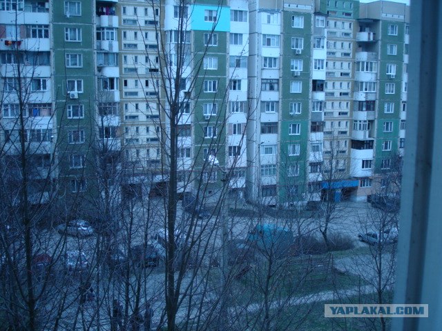Вид из вашего окна