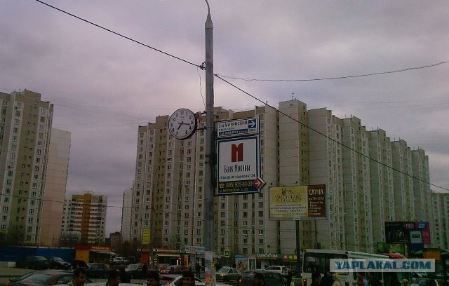 6 фоток с карты памяти