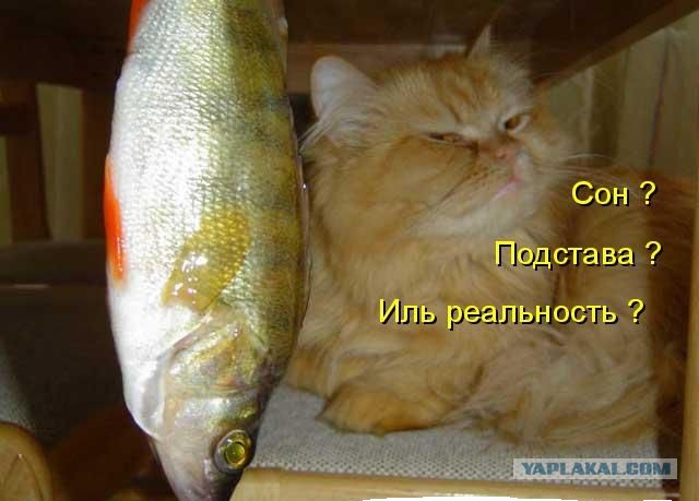 Подборка смешных картинок :)