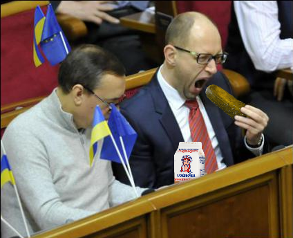 Жабы на яйценюха