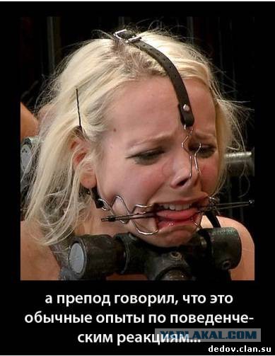 Пока падает рубль