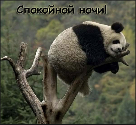 Финал кулинарного конкурса "Шеф-повар 2014"