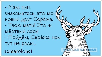 Минутка шизофрении