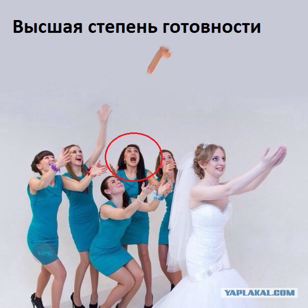 Картинки из сети