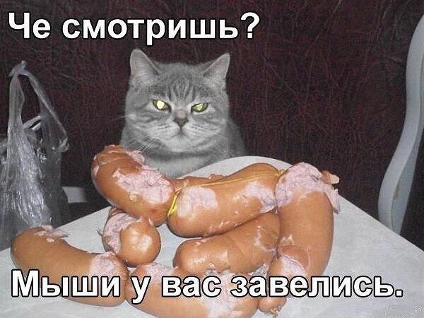 Прикольные картинки
