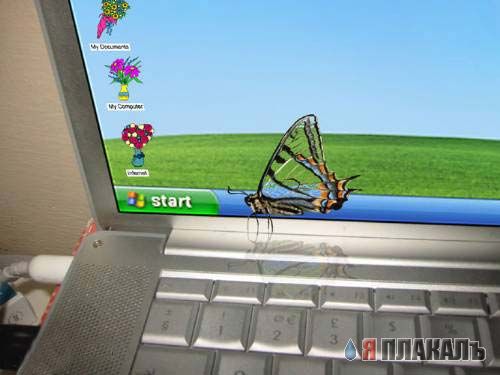 Компьютерные картинки. Все о КОМПЬЮТЕРАХ