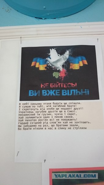 Цены на нефть упали ниже $34 за баррель