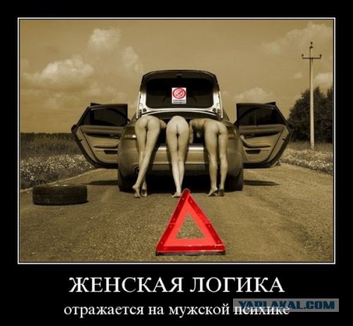 Женская логика. Мифы и реальность.