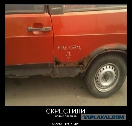 Демотиваторы на пятницу!