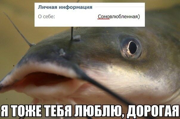 Грамотеи из интернетов умеют сочинять новые слова, даже не задумываясь