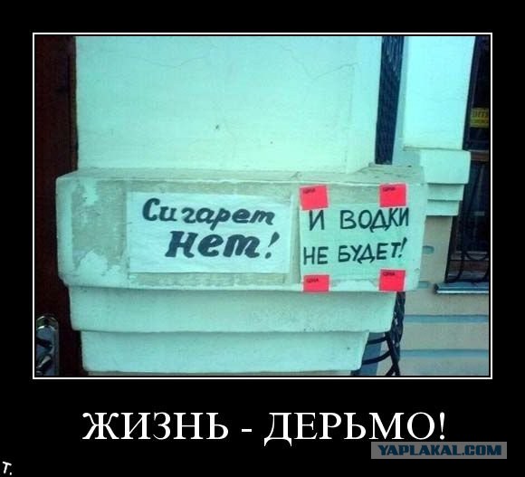 Позитивная подборка демотиваторов