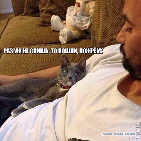 Подборка картинок