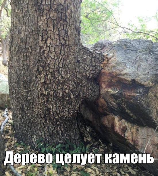 Интересные и веселые картинки