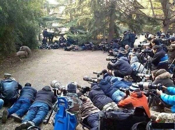 Несколько картинок