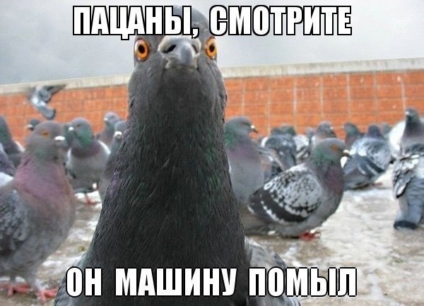 Картинки всякие разные