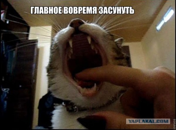 И не говорите, что ни когда так не делали