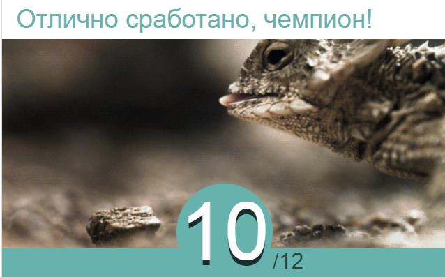 Футбол. Чемпионат России 2017-2018 часть 5