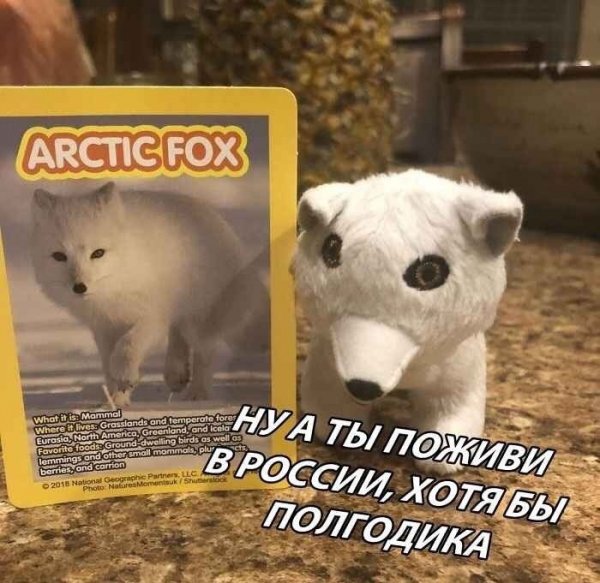 Нестандартный юмор