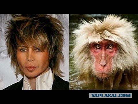 Атака клонов. Феномен двойничества