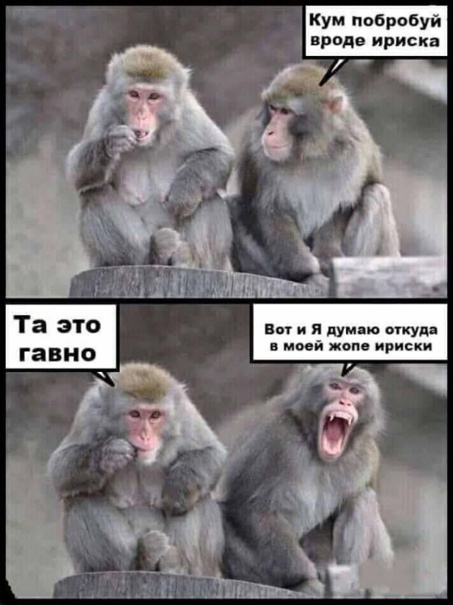 Немного картинок для настроения 11.02.20
