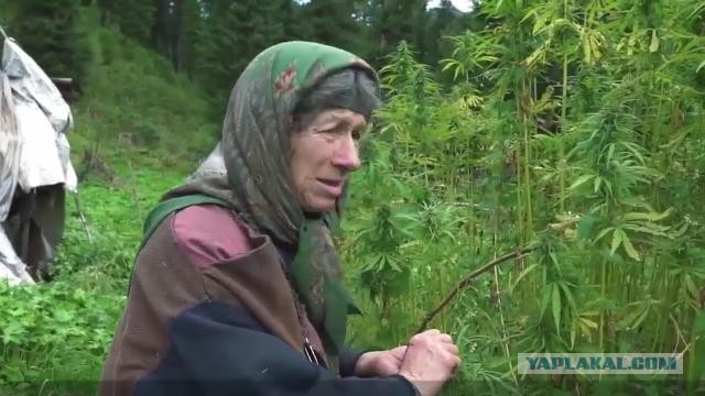 Про разрыв общественного договора