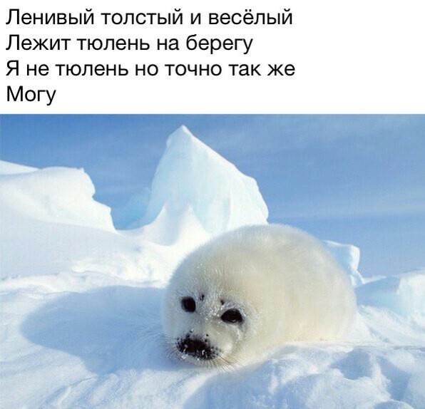 Всякая всячина 29.12.2020