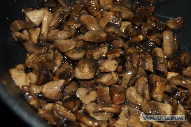 Куриный бульон для Чайников, Или «Кура-International»