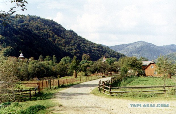 Карпаты, Закарпатье.