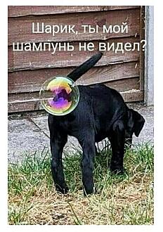 Чуток картинок 19.12.21