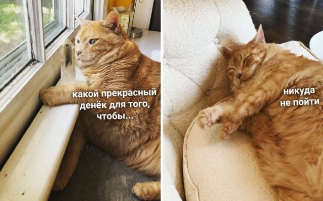 Так себе картинки 02.08.22