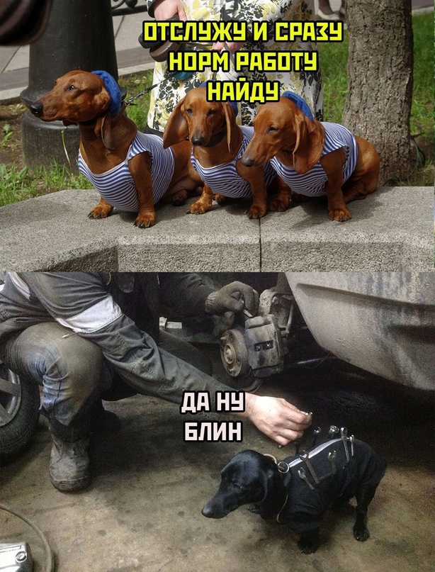 Немного картинок для настроения - 114