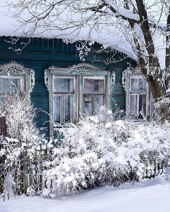 Прикольные и просто красивые картинки 27.12.2022