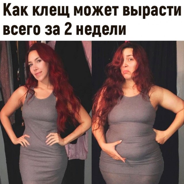 Картинки и мемы, всем хороших выходных