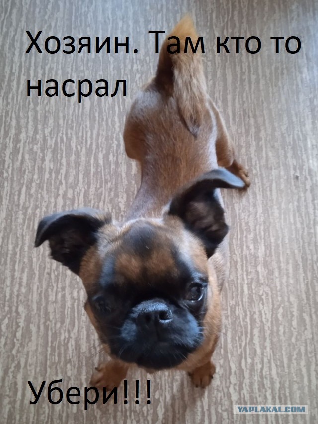 Комикс