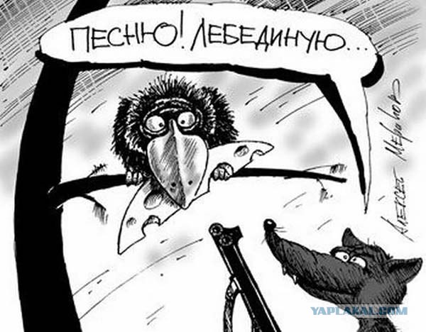 Подборка забавных карикатур